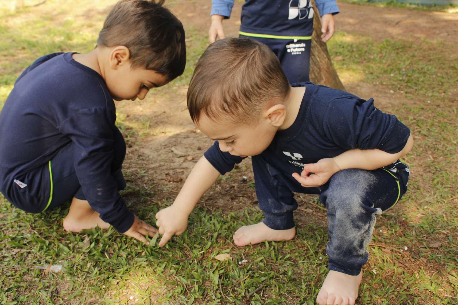 Educação Infantil 1